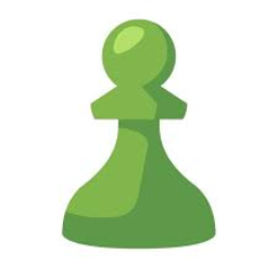Playing Chess