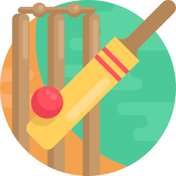 Playing Cricket
